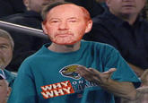 Jacksonville Jaguars Fan