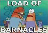 This is a load of Barnacles