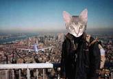 9/11 Tourist Guy