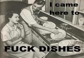 I/We Came Here To Fuck Bitches