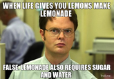 Schrute Facts