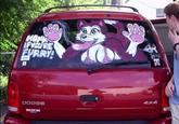 Furries