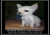 E.T. cloned in a dog