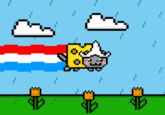 Nyan Cat / Pop Tart Cat