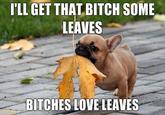 Bitches Love X