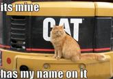 LOLcats