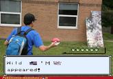 MissingNo.