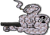 MissingNo.