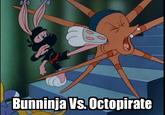 Pirates vs. Ninjas