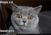 I Found Pills... And Ate Them!