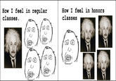 Harp Darp / Herp Derp