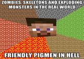 Minecraft Guy