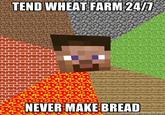 Minecraft Guy