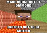 Minecraft Guy