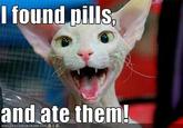 I Found Pills... And Ate Them!