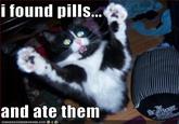 I Found Pills... And Ate Them!