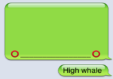 iPhone Whale