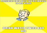 Fallout (series)