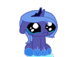 Pony Reactions