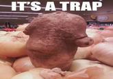 It's A Trap!