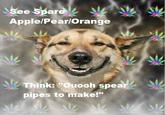 Stoner Dog