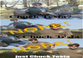 Nope! Chuck Testa