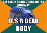 Paranoid Parrot