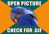 Paranoid Parrot