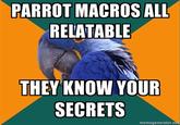 Paranoid Parrot
