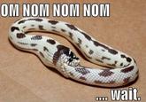 Om Nom Nom Nom
