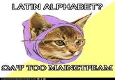 Hipster Kitty