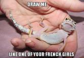 Draw Me Like One of Your French Girls