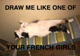 Draw Me Like One of Your French Girls