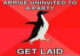 Socially Awesome Penguin