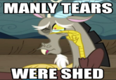 My Little Pony: Friendship is Magic