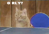 O RLY?