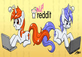 reddit