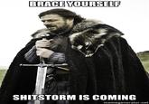 Imminent Ned / Brace Yourselves, X is Coming