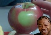 Xzibit Yo Dawg