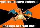 YOU DON'T HAVE ENOUGH BADGES TO TRAIN ME!