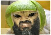 Limecat