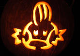 I Herd U Like Mudkips