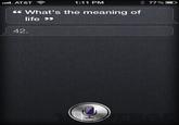 Shit That Siri Says