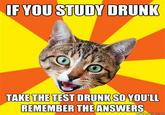 Bad Advice Cat