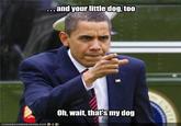 And Your Little Dog Too