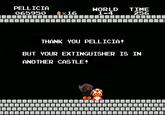 Er Pelliccia