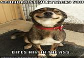 Good Dog Greg