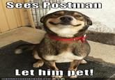 Good Dog Greg