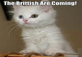 LOLcats