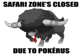 Pool's Closed